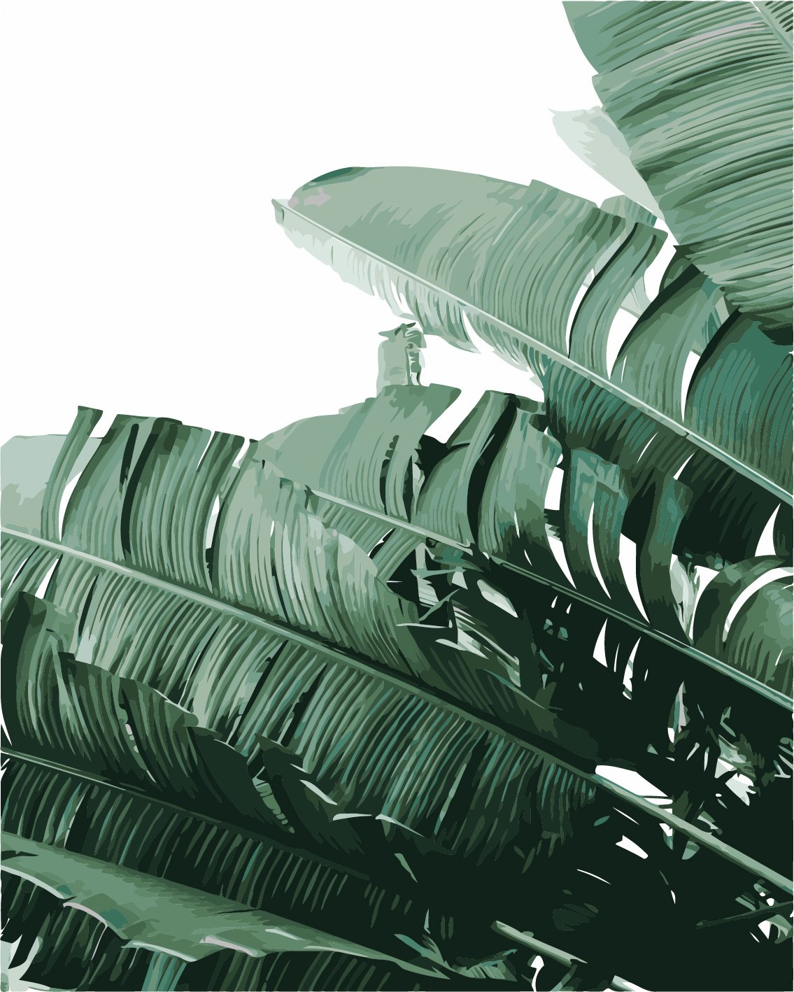 Blatt Malen Nach Zahlen A08