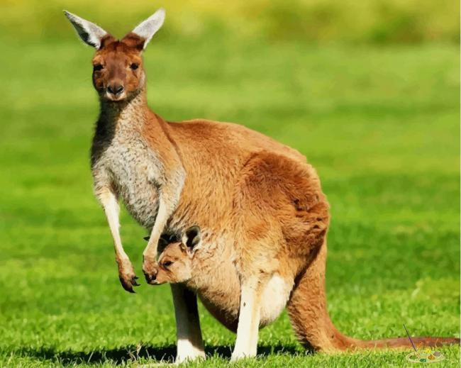 Stadt Malen nach Zahlen AK56433