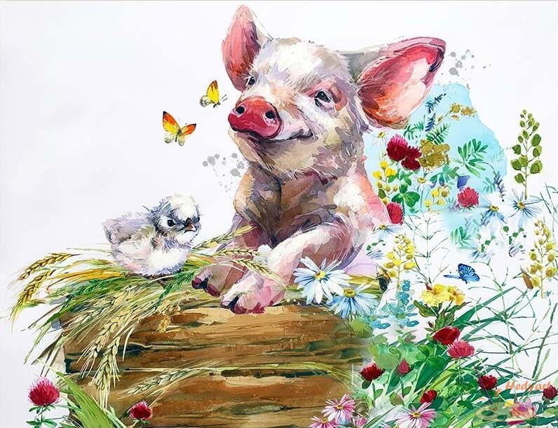 Tier Malen nach Zahlen APG5872