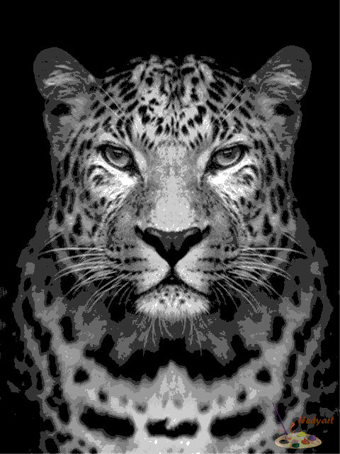 Tier Malen nach Zahlen BAW6503