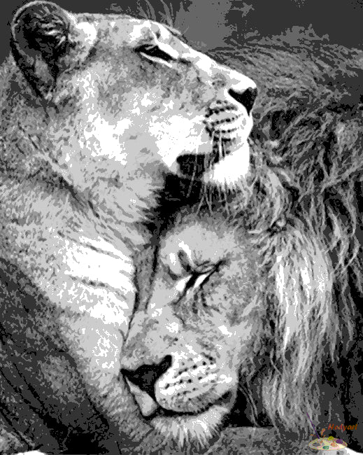 Tier Malen nach Zahlen BAW6506