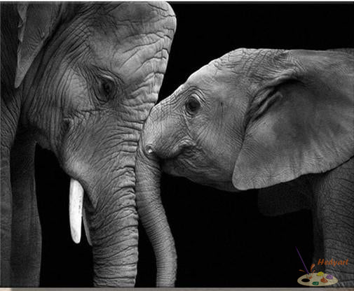 Tier Malen nach Zahlen BAW6508