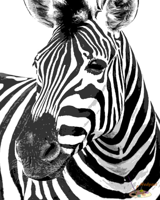 Tier Malen nach Zahlen BAW6514