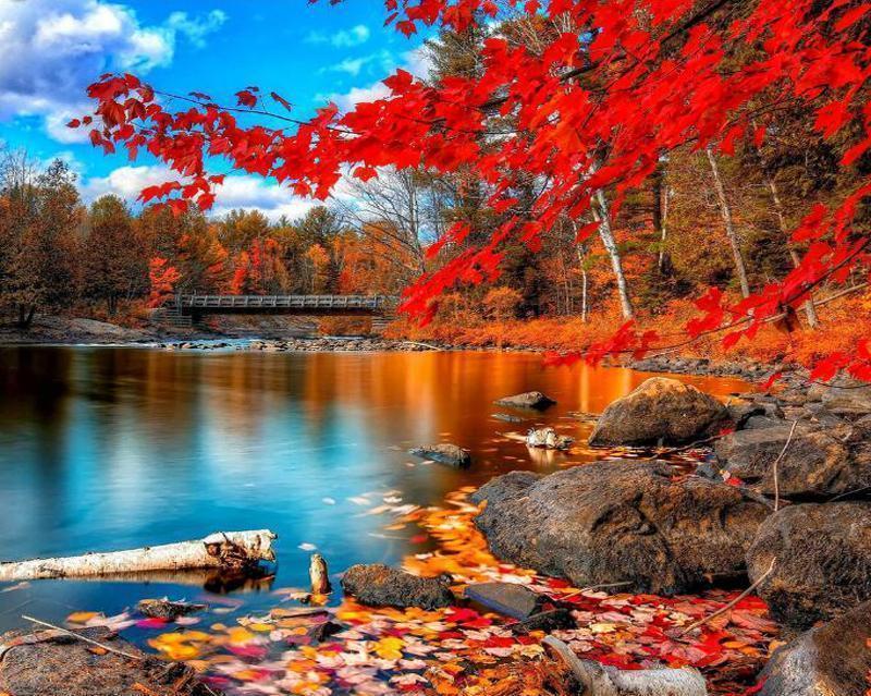 Natürlich Malen nach Zahlen For Adult BR2031