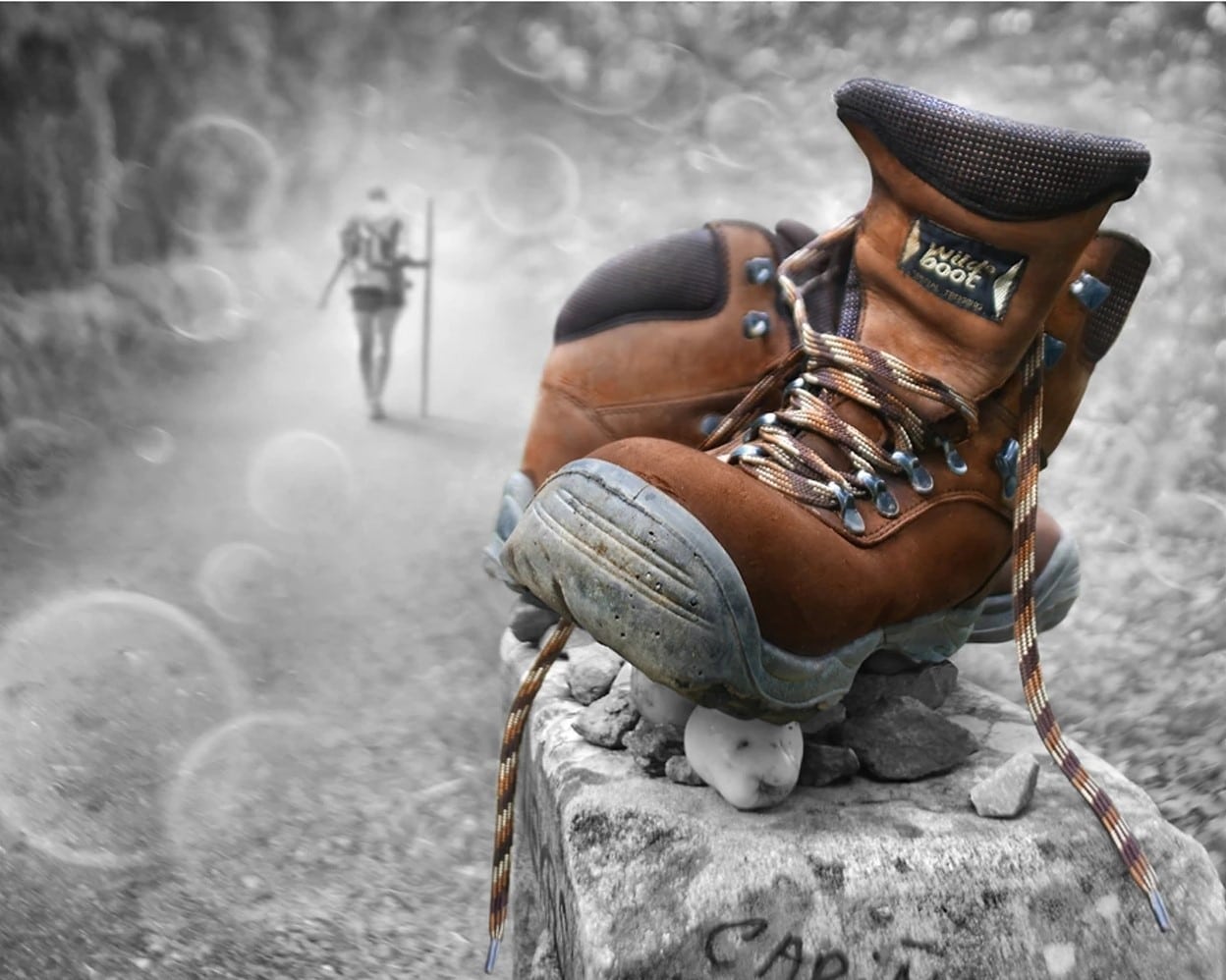 Stillleben Malen nach Zahlen BT4628