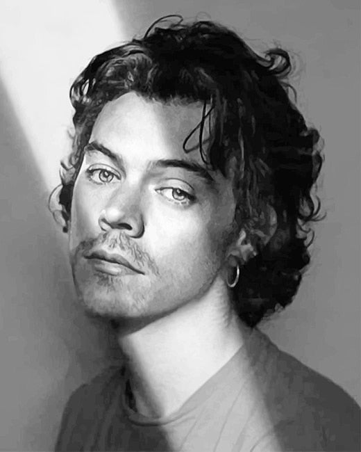 Porträt Malen nach Zahlen BWH2301