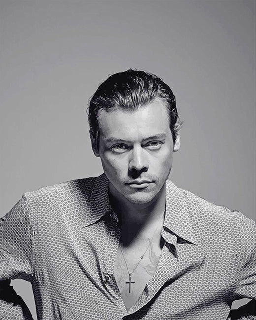 Porträt Malen nach Zahlen BWH2302