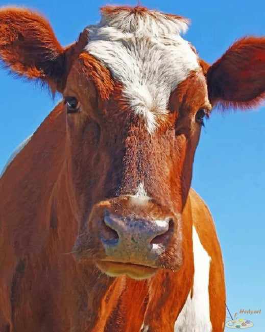 Tier Malen nach Zahlen CAB6721