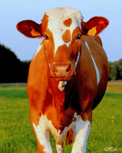 Tier Malen nach Zahlen CAB6726