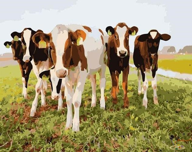 Tier Malen nach Zahlen CAB6731