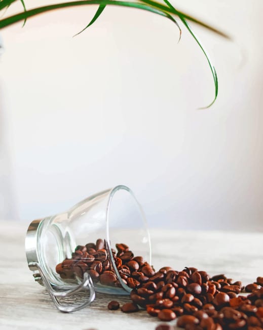 Stillleben Malen nach Zahlen CUP4532