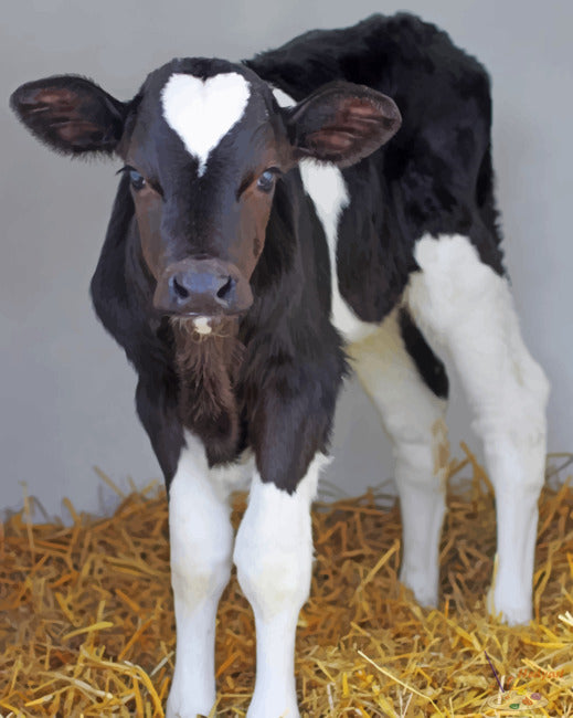 Tier Malen nach Zahlen CW8852