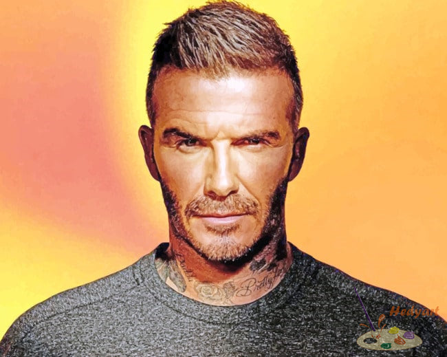 Sport Malen nach Zahlen DB66302