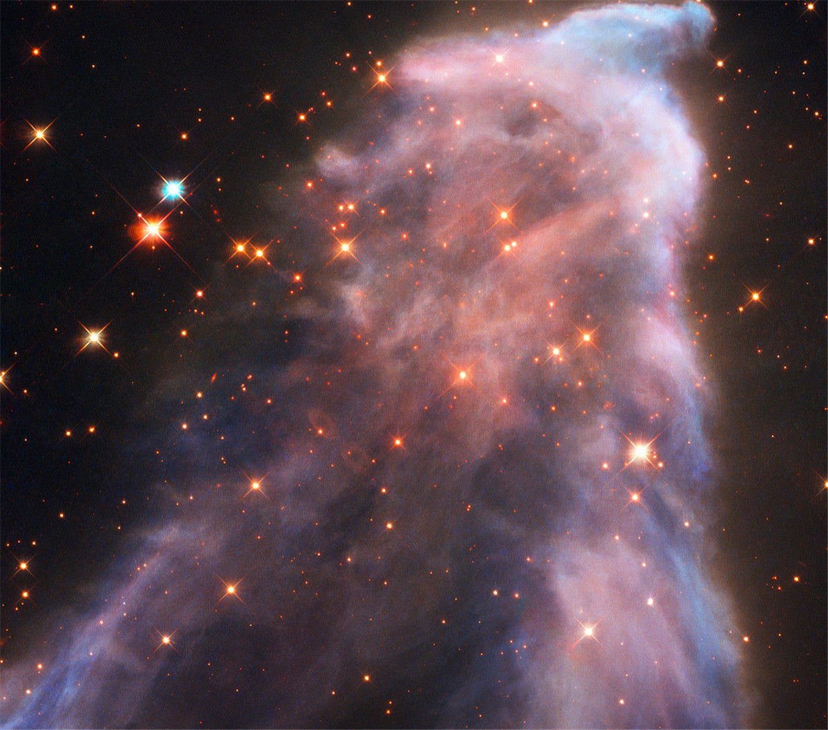 Natürlich Malen nach Zahlen DP38507