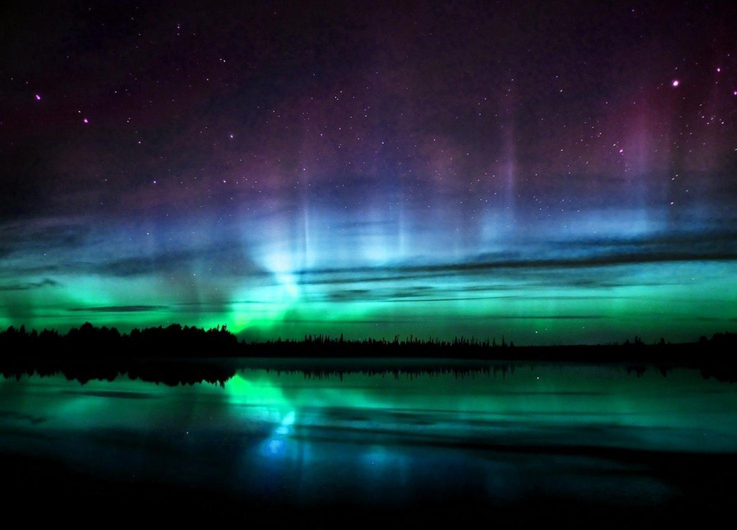 Natur Malen nach Zahlen DP56930