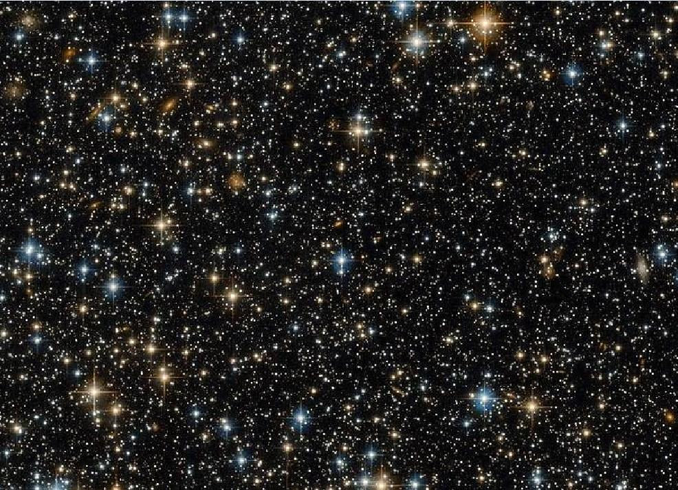 Natur Malen nach Zahlen DP60435