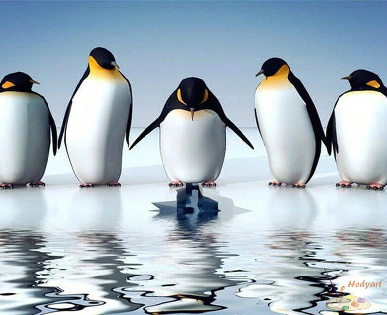 Tier Malen nach Zahlen DP61255