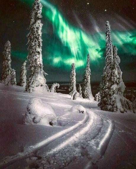 Natur Malen nach Zahlen DP66326