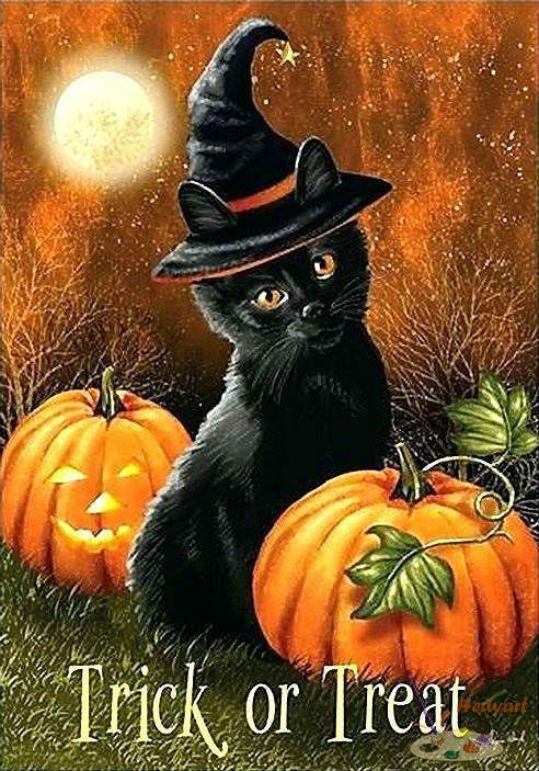 Festival Malen nach Zahlen DP73691