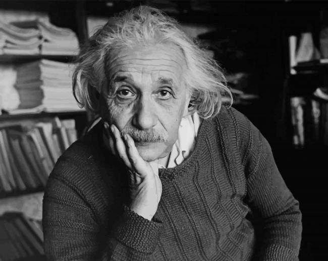 Porträt Malen nach Zahlen EST5511