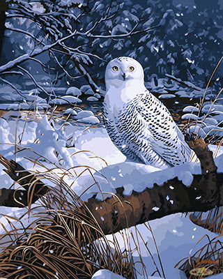 Tier Malen nach Zahlen GX21048