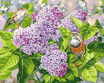 Blume Malen nach Zahlen GX21052