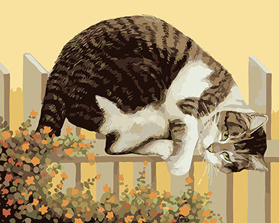 Hund & Katze Malen nach Zahlen GX21060