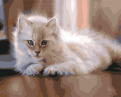 Hund & Katze Malen nach Zahlen GX21256