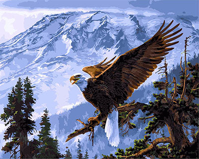 Vogel Malen nach Zahlen GX21427