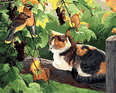 Hund & Katze Malen nach Zahlen GX21465