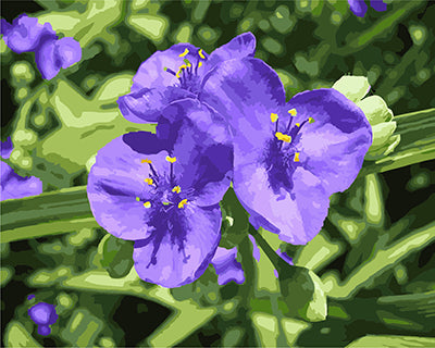 Blume Malen nach Zahlen GX21544