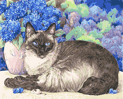 Hund & Katze Malen nach Zahlen GX21551