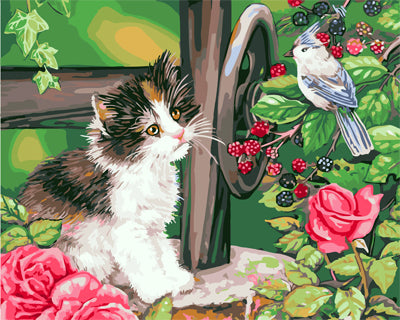 Hund & Katze Malen nach Zahlen GX21575