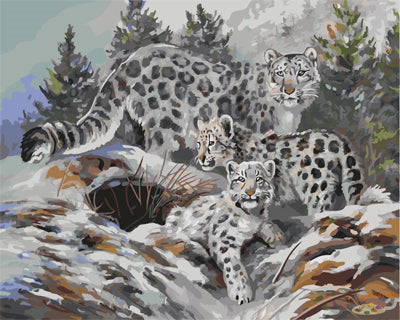 Tier Malen nach Zahlen GX21597