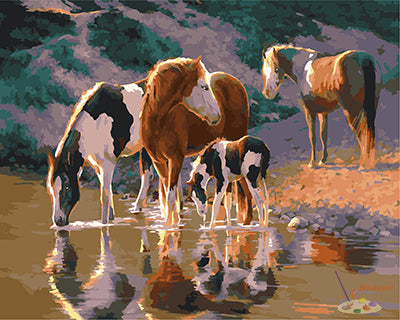 Tier Malen nach Zahlen GX21629