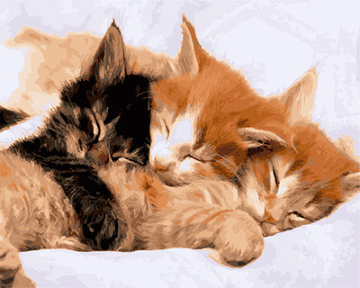 Hund & Katze Malen nach Zahlen GX21718