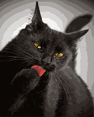 Hund & Katze Malen nach Zahlen GX21748