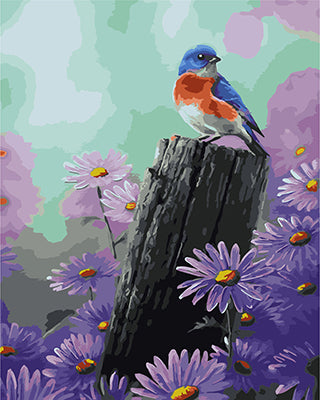 Vogel Malen nach Zahlen GX21835