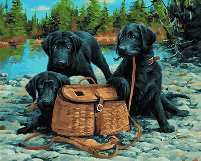 Hund & Katze Malen nach Zahlen GX21912