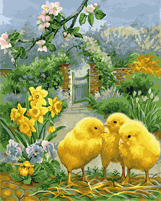 Vogel Malen nach Zahlen GX21914