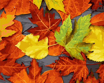 Stillleben Malen nach Zahlen GX21940