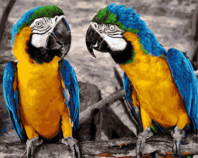 Vogel Malen nach Zahlen GX22033