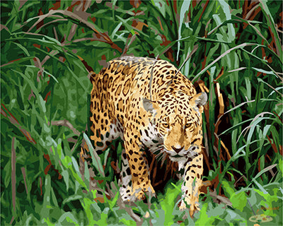 Tier Malen nach Zahlen GX22038