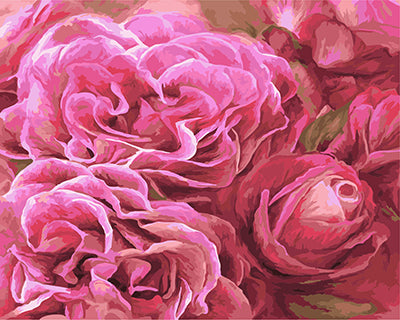 Blume Malen nach Zahlen GX22043