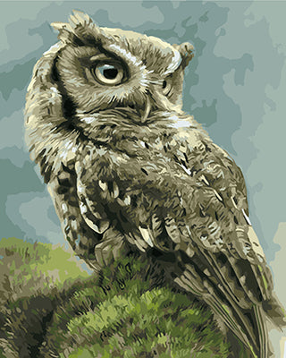 Vogel Malen nach Zahlen GX22110