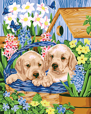 Hund & Katze Malen nach Zahlen GX22280