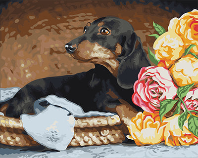 Hund & Katze Malen nach Zahlen GX22304