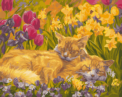 Hund & Katze Malen nach Zahlen GX22312