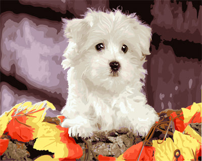 Hund & Katze Malen nach Zahlen GX22338