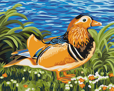 Vogel Malen nach Zahlen GX22360